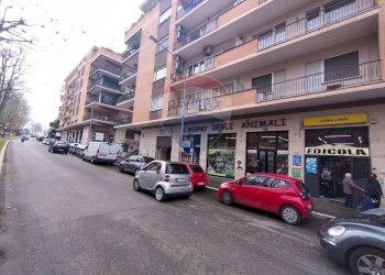 Shop Roma (neighborhood Talenti) - photo 3