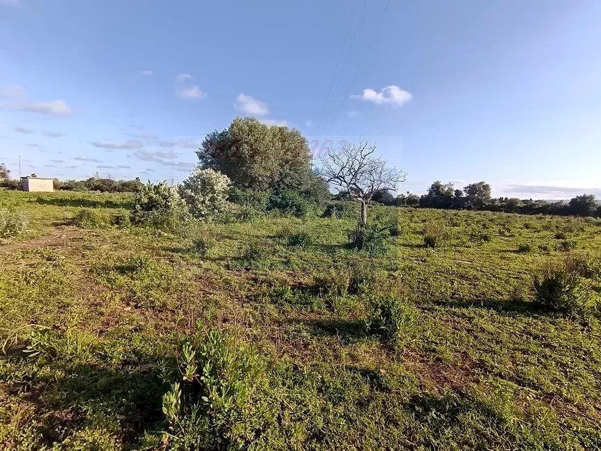 Agricultural land Traversa Masseria Gargallo, Siracusa - photo 1