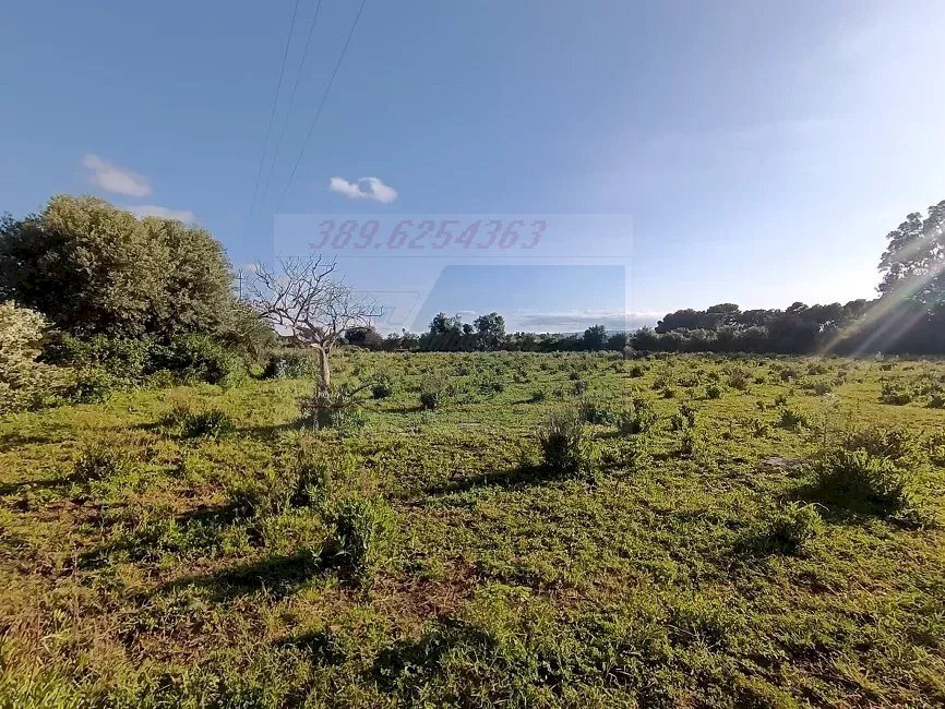 Agricultural land Traversa Masseria Gargallo, Siracusa - photo 2