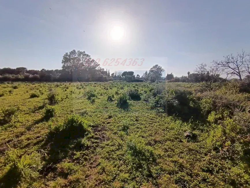 Agricultural land Traversa Masseria Gargallo, Siracusa - photo 3