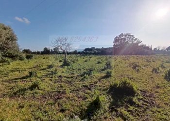 Terreno agricolo Traversa Masseria Gargallo, Siracusa - foto 4
