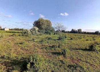 Terreno agricolo Traversa Masseria Gargallo, Siracusa - foto 7