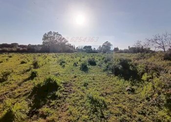 Terreno agricolo Traversa Masseria Gargallo, Siracusa - foto 9