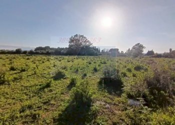 Terreno agricolo Traversa Masseria Gargallo, Siracusa - foto 12