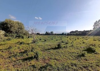 Terreno agricolo Traversa Masseria Gargallo, Siracusa - foto 20