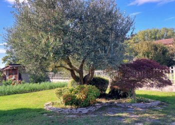 Villa Bifamiliare Ferrara - foto 19