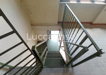 Warehouse Capannori - photo 5