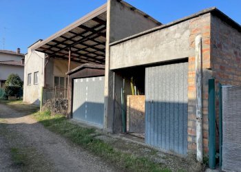 Capannone Casalfiumanese - foto 2