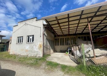 Capannone Casalfiumanese - foto 3