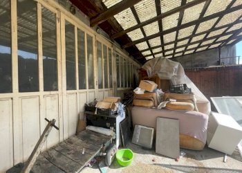 Capannone Casalfiumanese - foto 4