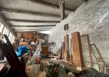 Capannone Casalfiumanese - foto 6