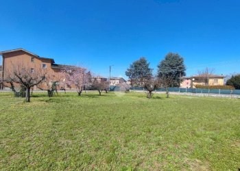 Terreno edificabile Corso Roma, Castellar Guidobono - foto 6