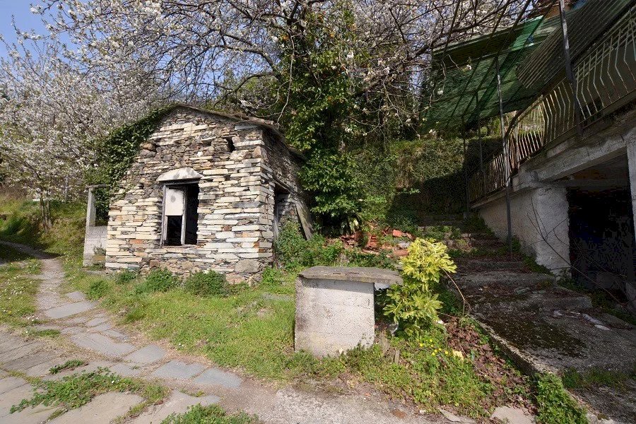 Villa a Schiera Tribogna - foto 3