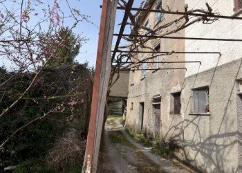 Villa a Schiera Tribogna - foto 2