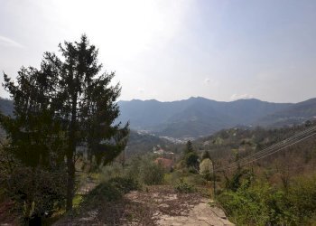 Villa a Schiera Tribogna - foto 17