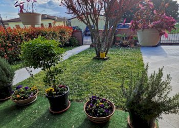 Semi-detached Villa Portomaggiore - photo 39