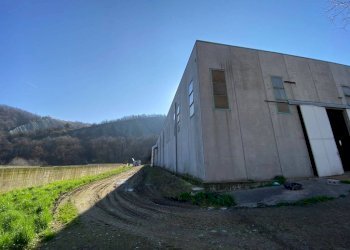 Capannone via Estense, Serramazzoni - foto 3