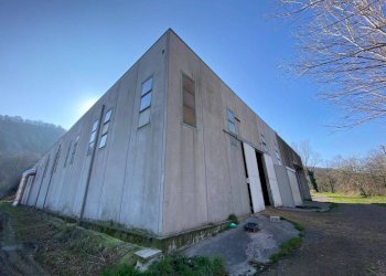 Capannone via Estense, Serramazzoni - foto 9