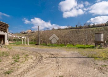 Casa indipendente Via Orto Peschiera, Calosso - foto 7