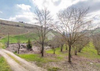 Casa indipendente Via Orto Peschiera, Calosso - foto 9