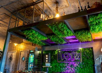 Commercial Activity via torre clementina, Fiumicino - photo 7