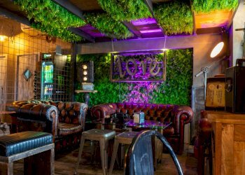 Commercial Activity via torre clementina, Fiumicino - photo 13