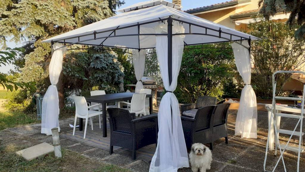 Giardino - Villa a Schiera via Don Giovanni Minzoni, Novi di Modena - foto 3