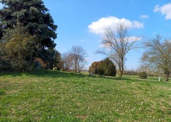 Terreno - Villa a Schiera via Don Giovanni Minzoni, Novi di Modena - foto 24
