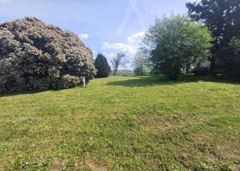 Terreno - Villa a Schiera via Don Giovanni Minzoni, Novi di Modena - foto 30
