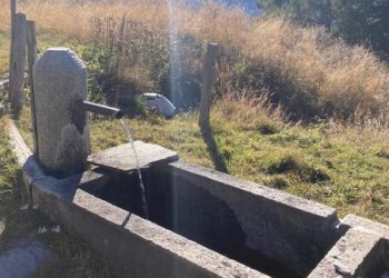 Dettagli - Stabile - Palazzo Salbertrand - foto 4