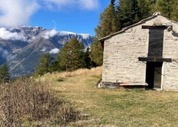 Terreno - Stabile - Palazzo Salbertrand - foto 8