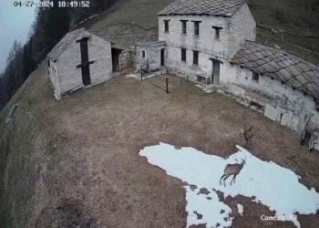 Terreno - Stabile - Palazzo Salbertrand - foto 10