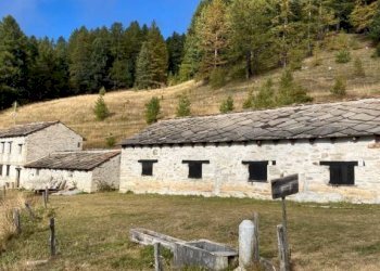 Terreno - Stabile - Palazzo Salbertrand - foto 11