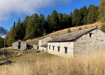 Terreno - Stabile - Palazzo Salbertrand - foto 17