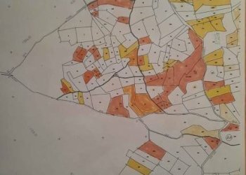 Altro - Stabile - Palazzo Salbertrand - foto 28