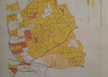 Altro - Stabile - Palazzo Salbertrand - foto 31