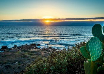 Zona - Villa strada Carrabuffas, Alghero - photo 31