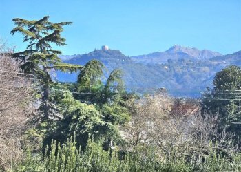 Vista - Villa via del Nespolo, Montignoso - photo 14