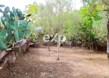 Independent house Piazzale Falcone e Borsellino, Modica - photo 21
