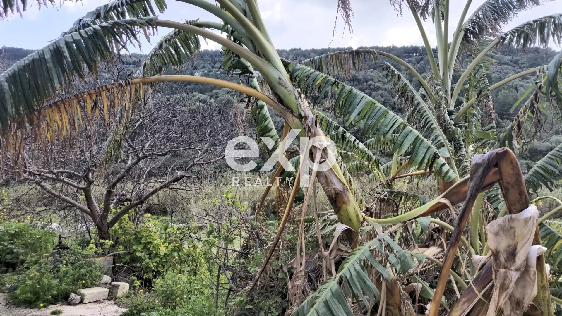 Dimora Storica Scicli - foto 3