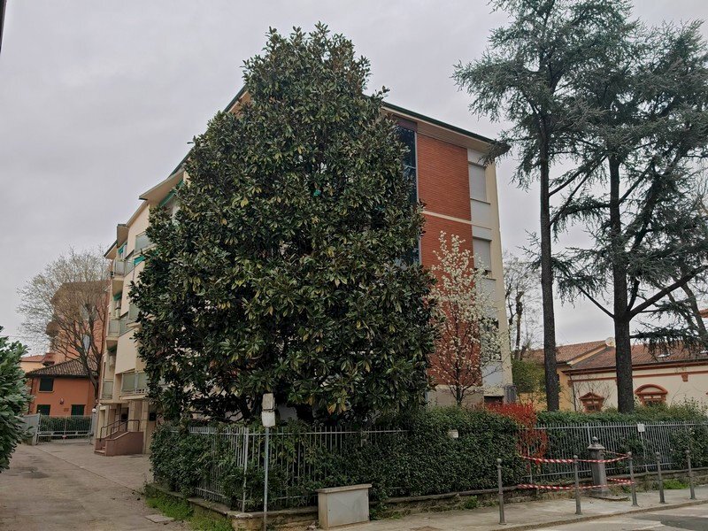 Apartment Castel San Pietro Terme - photo 1