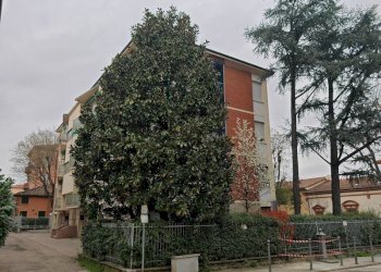 Apartment Castel San Pietro Terme - photo 1