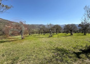 Rustico Contrada Vagni, Arpino - foto 3