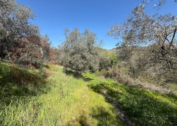 Rustico Contrada Vagni, Arpino - foto 7