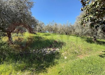 Rustico Contrada Vagni, Arpino - foto 30