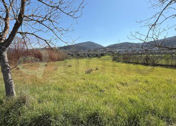 Terreno edificabile Contrada Bove, Arpino - foto 2