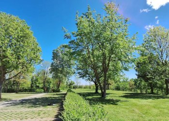 Three-room apartment Strada Castello Maiolo, Marentino - photo 23