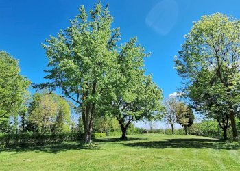Three-room apartment Strada Castello Maiolo, Marentino - photo 24