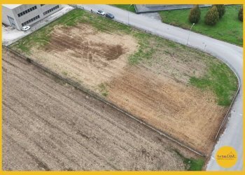 Terreno edificabile via dell' Artigianato, Molinella - foto 8