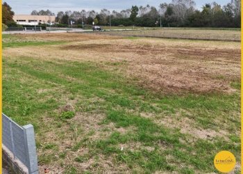 Terreno edificabile via dell' Artigianato, Molinella - foto 13